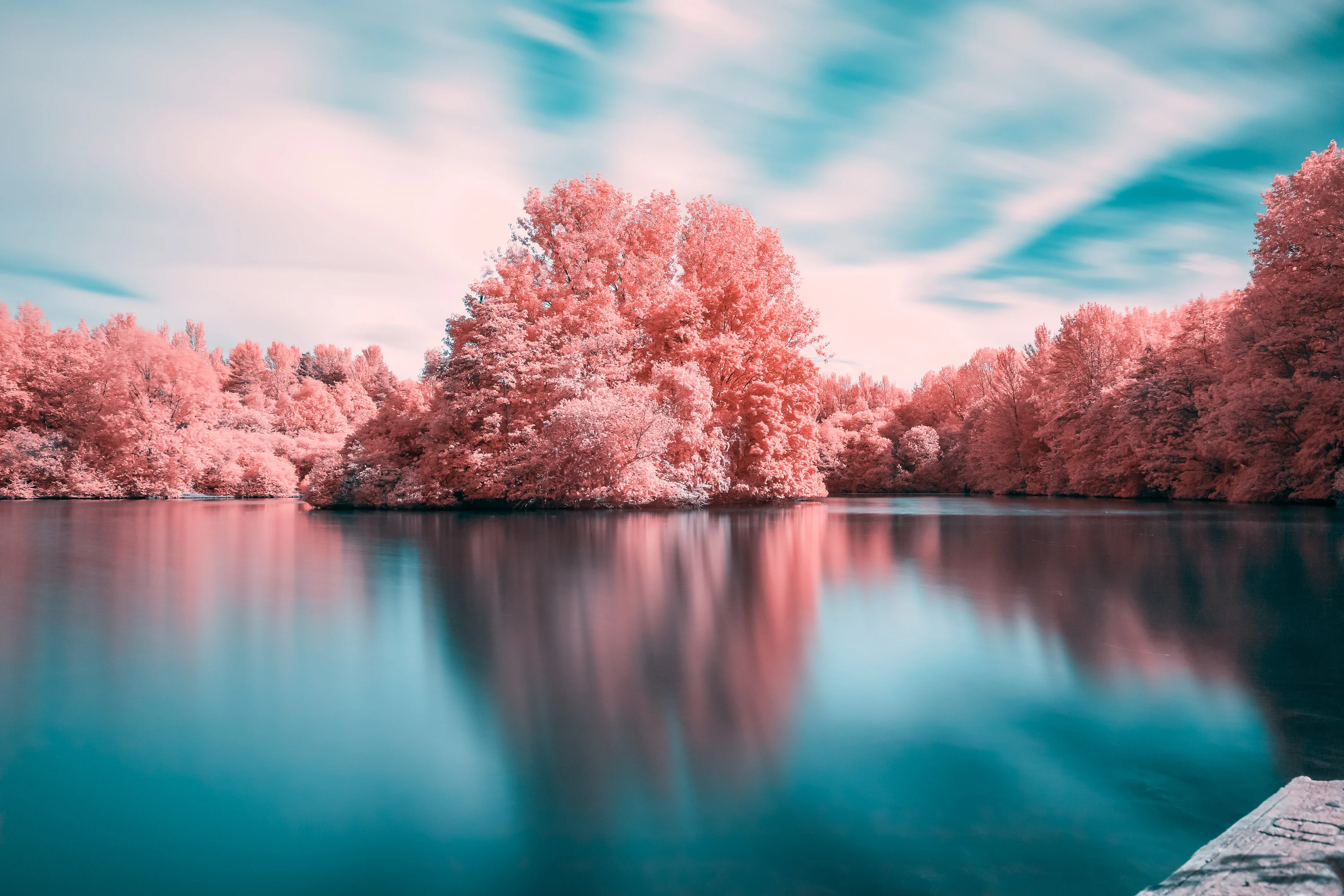 Infrared photography prints