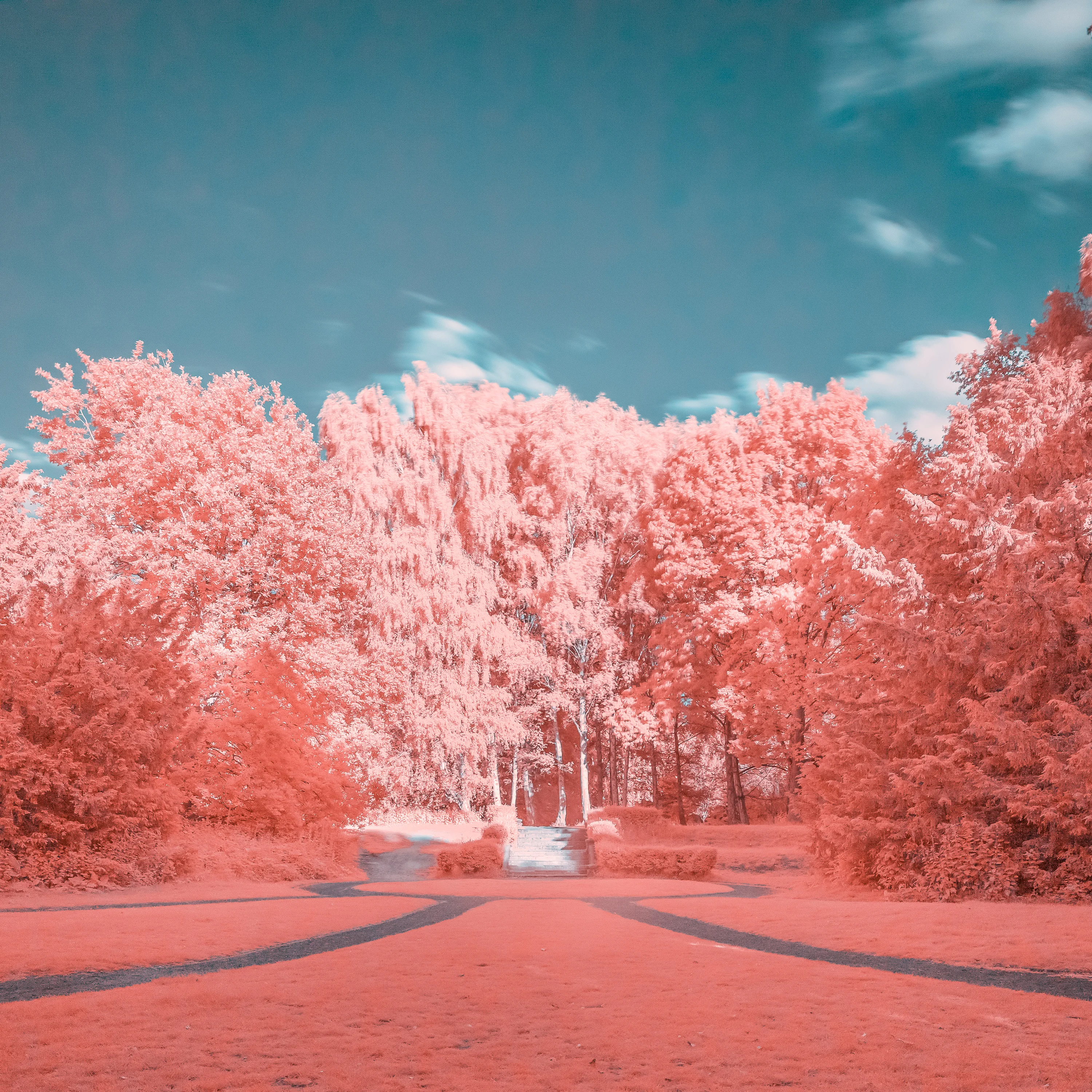 Infrared photograph by BPPhotography