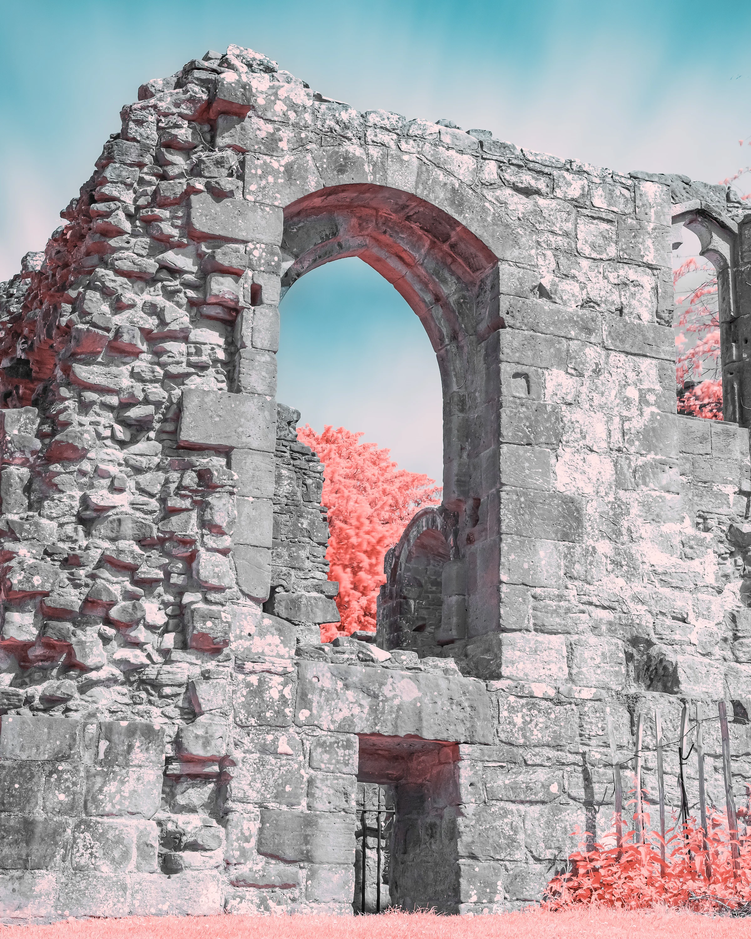 Infrared photograph by BPPhotography
