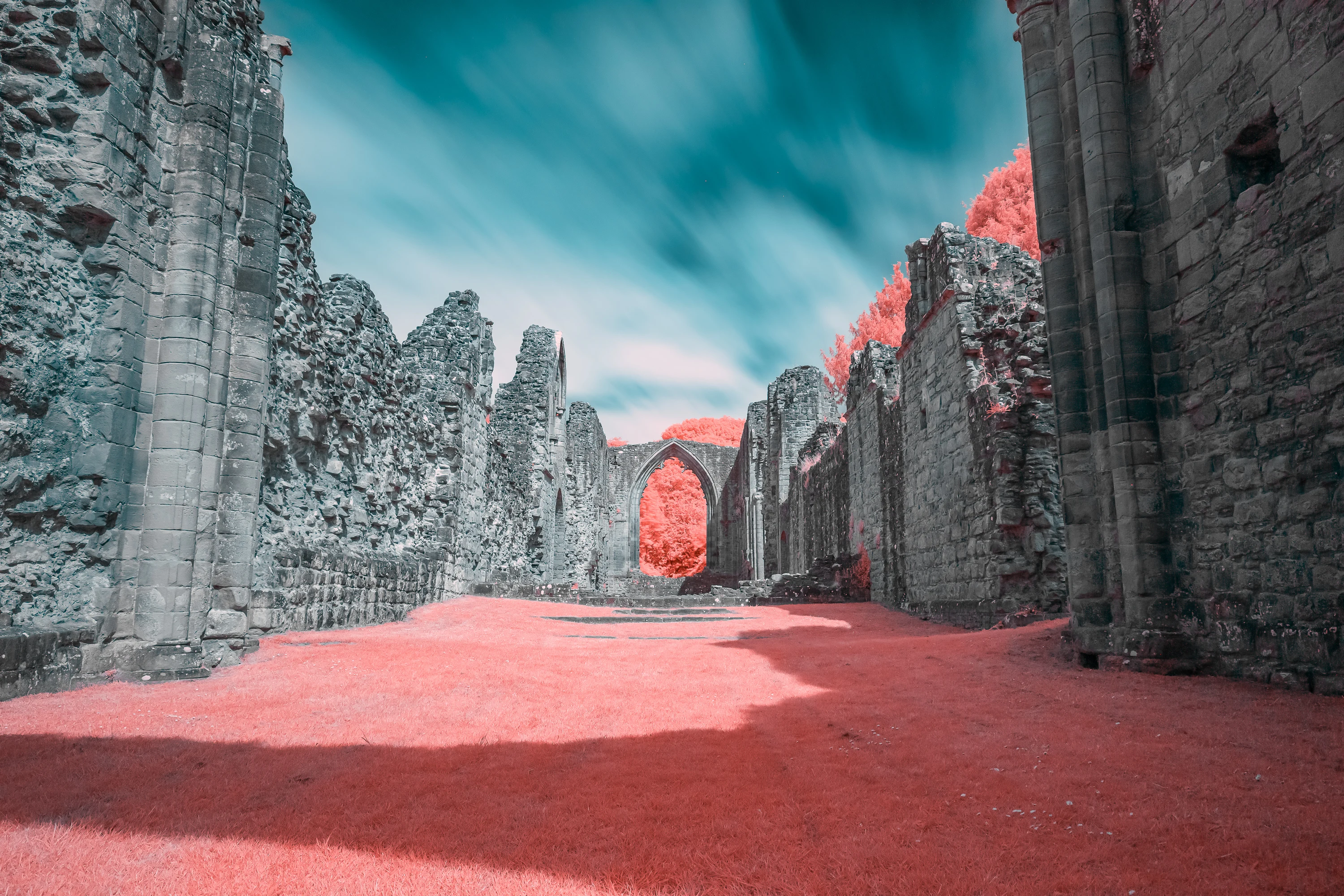 A soft false-colour infrared landscape with pastel pink foliage and deep blue tones.