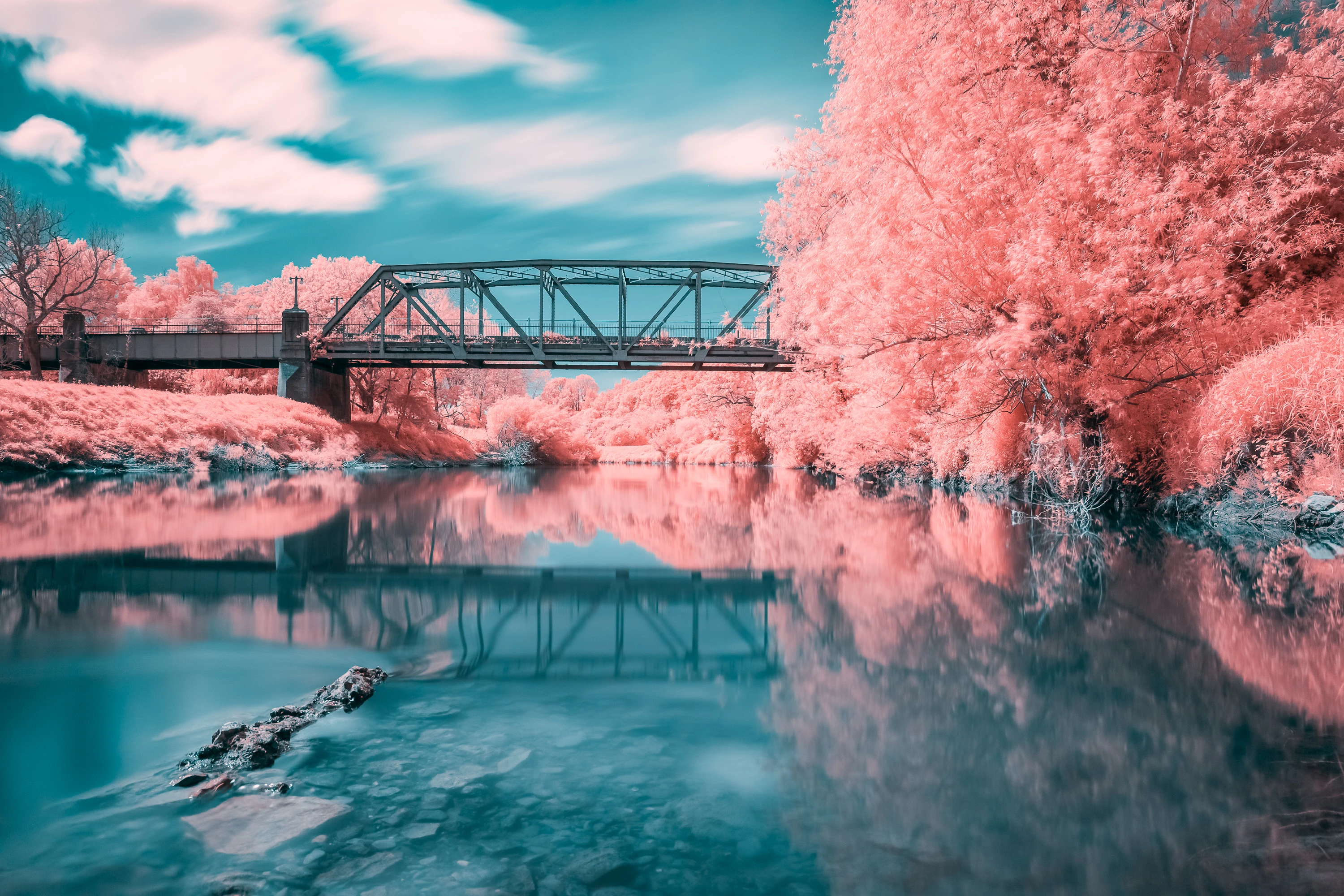 A soft false-colour infrared landscape with pastel pink foliage and deep blue tones.