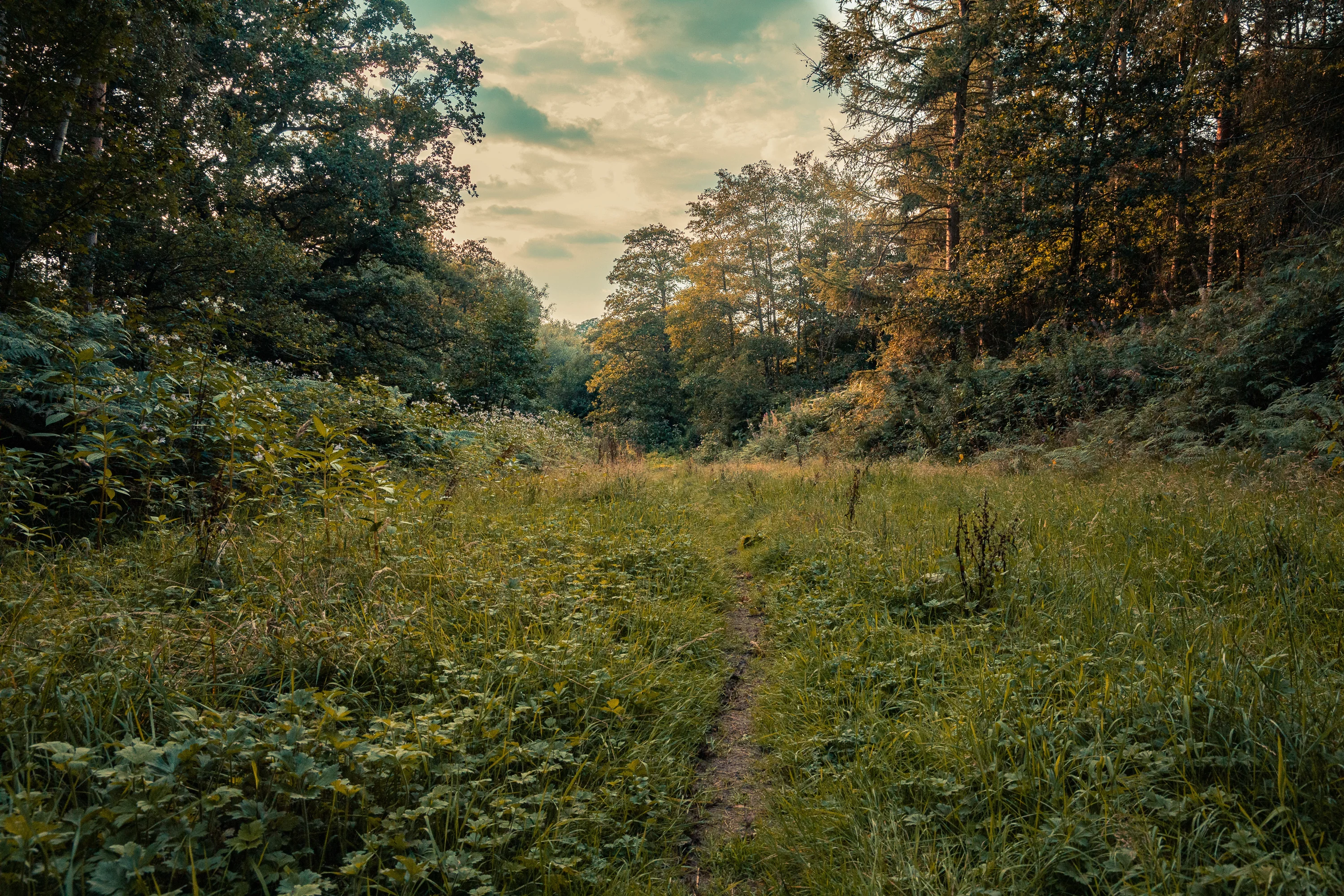 Landscape photograph by BPPhotography
