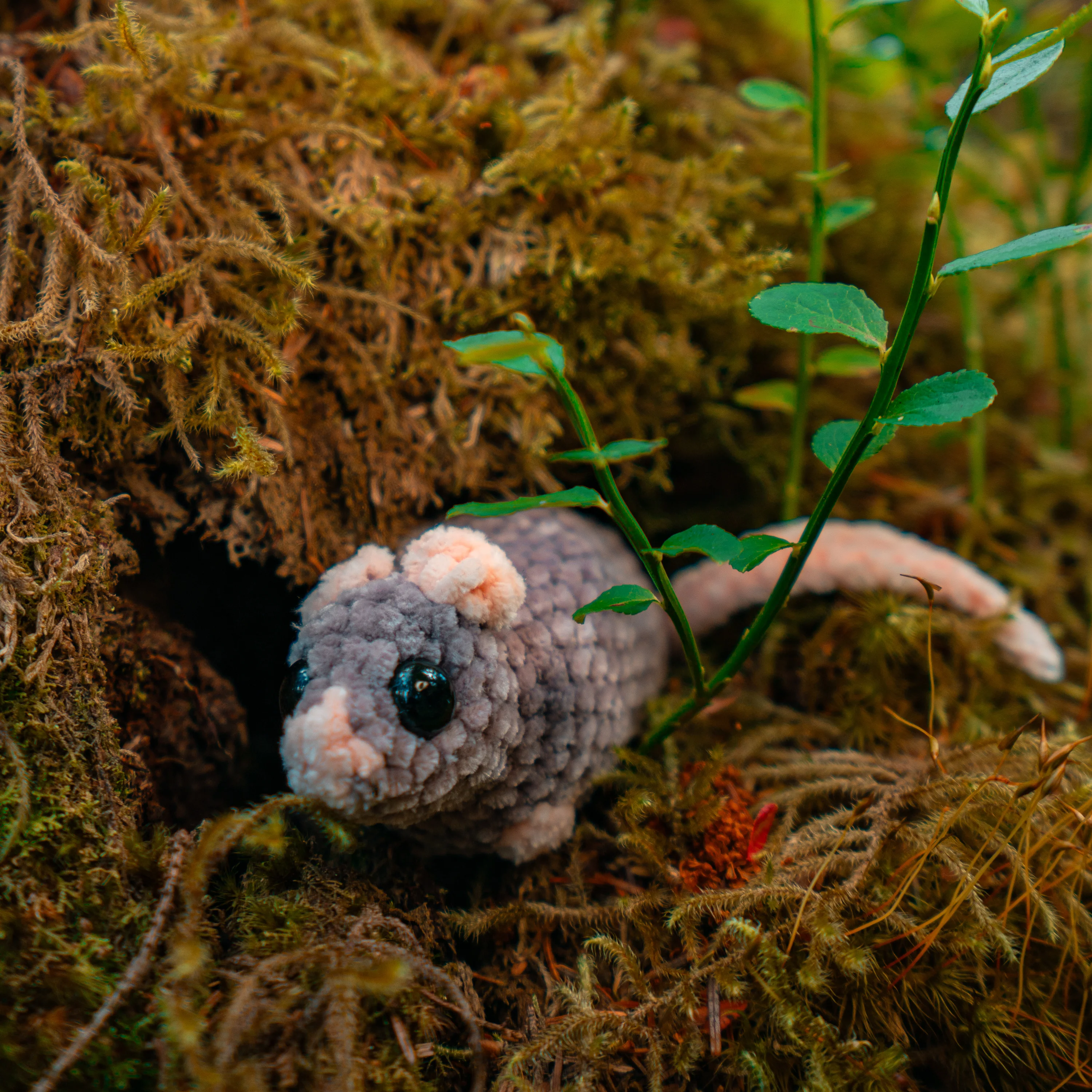 Product photograph by BPPhotography